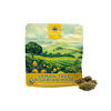 FLORACAL - PREMIUM INDOOR DESIGNER FLOWER - OPEN BOX - 3.5G