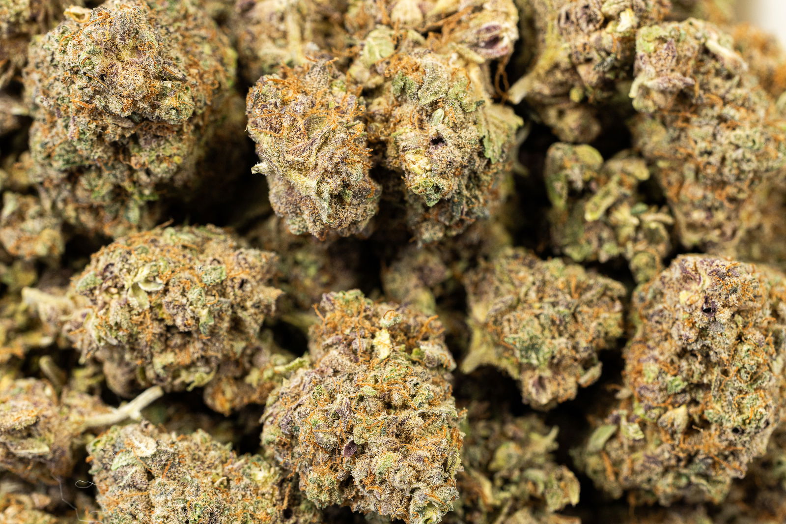 ZKITTLES CAKE X NERDZ (INDICA HYBRID) OZ SPECIAL | Gotham
