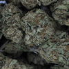 PETROL BOMB #1 (SATIVA) - OZ SPECIAL
